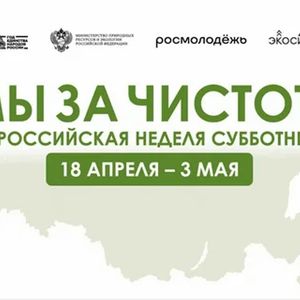 Мы за чистоту!